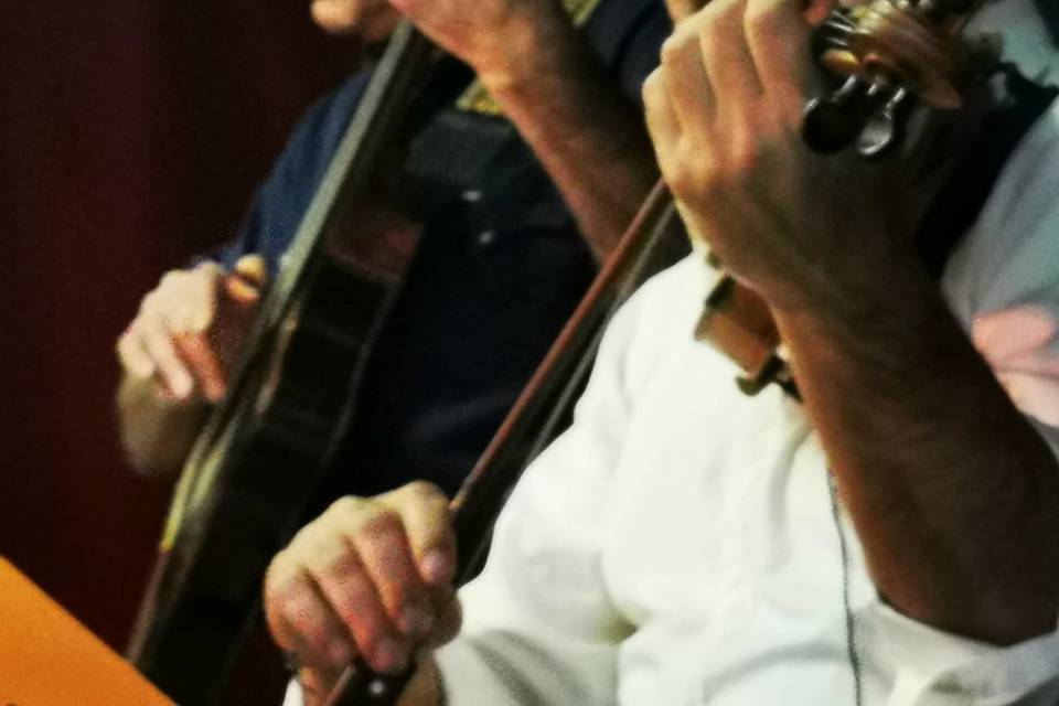 Musica e voce