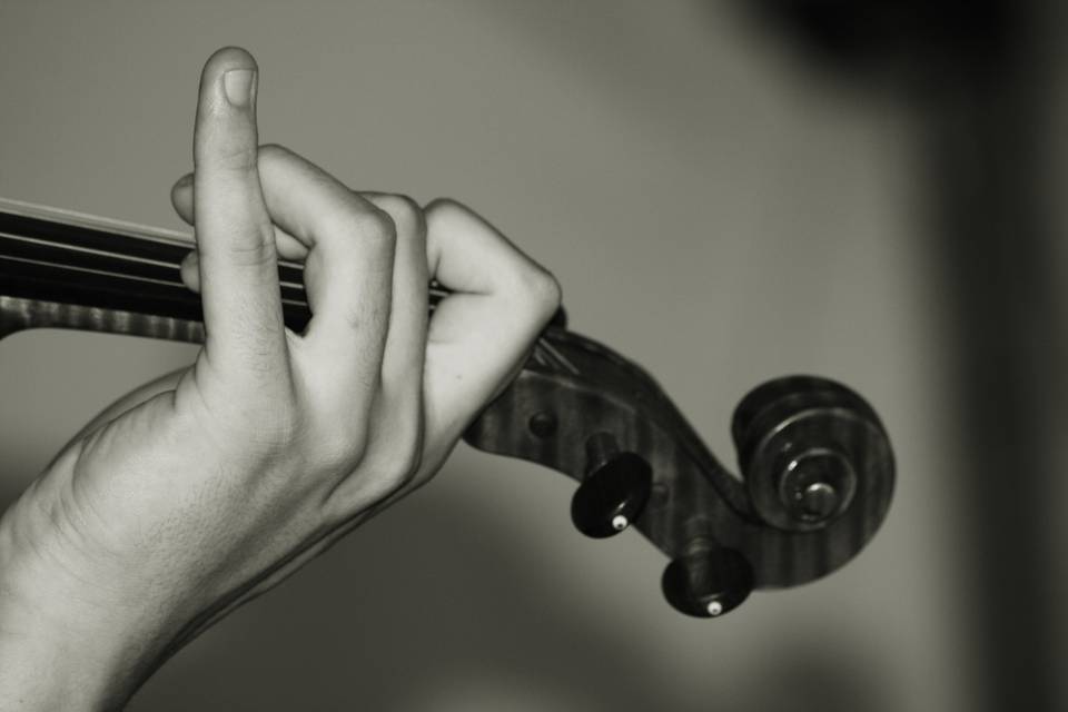 Il violino di Lucio