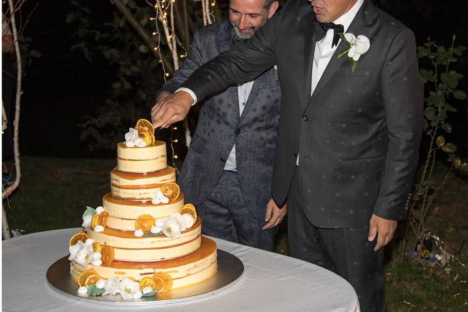 Gay Wedding Pictures