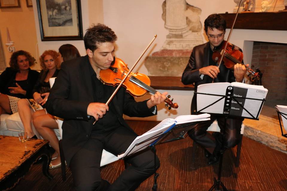 Viola e Violino