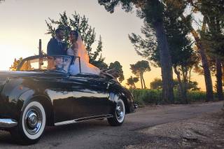 Elegant Car