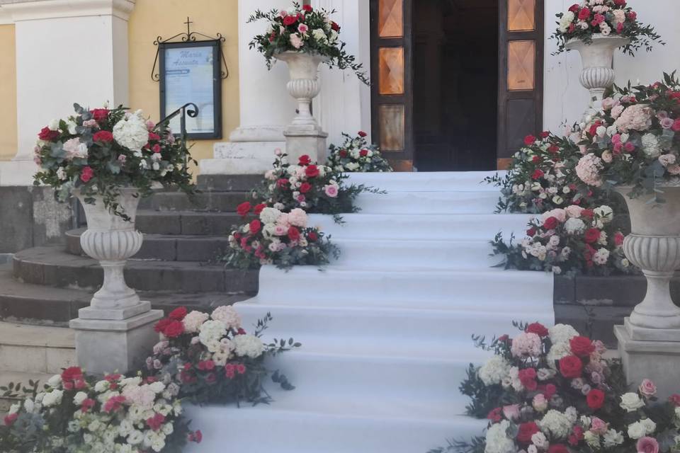 Eleganza
