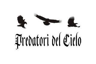 Predatori del Cielo