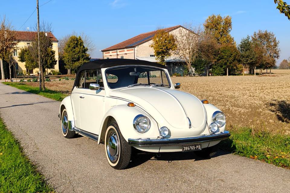 Maggiolone cabrio 1302