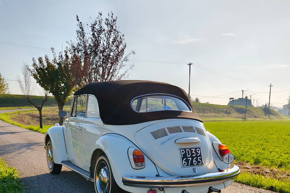 Maggiolone cabrio 1302