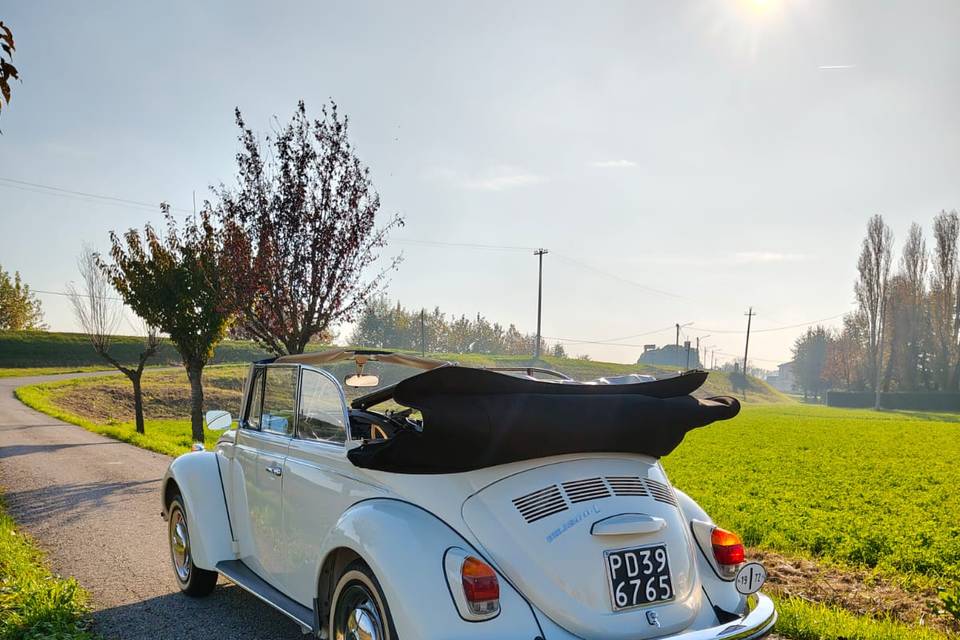 Maggiolone cabrio 1302