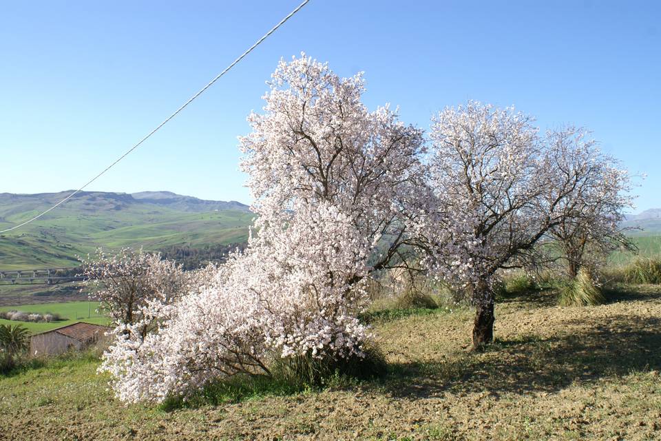 Il Casale di Emma