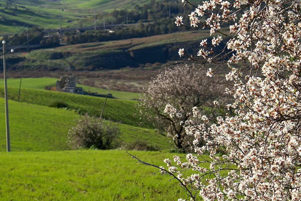 Il Casale di Emma