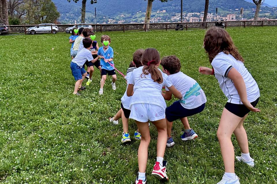 Animazione
