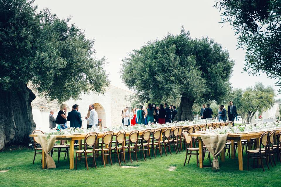 Fotogallery di Nicoletta De Giglio