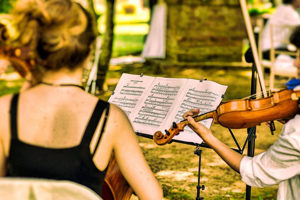 Violoncello & Violino