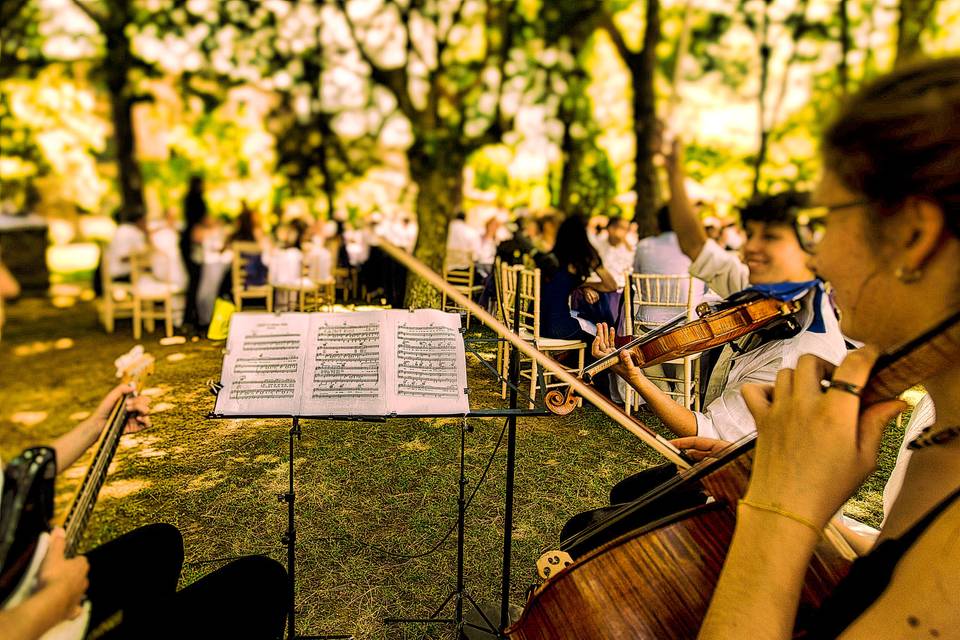 Quartetto acustico ricevimento