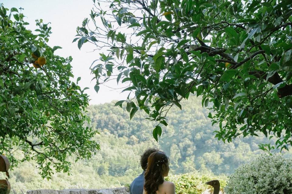 Giardino