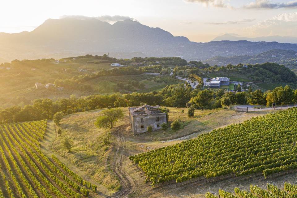 Marennà - Feudi di San Gregorio