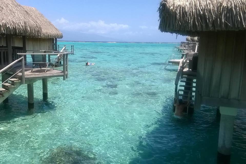 Moorea