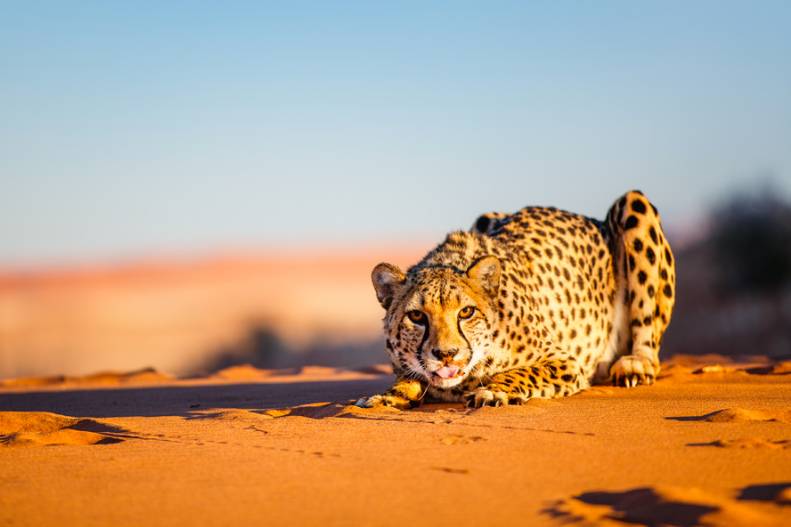 Namibia