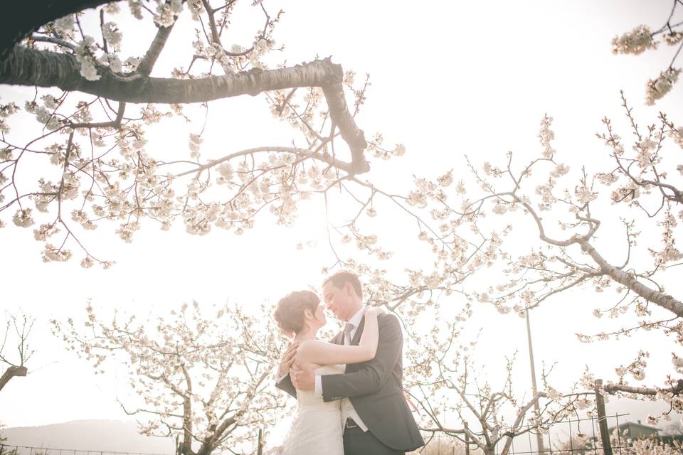 Fotografo-matrimonio-verona