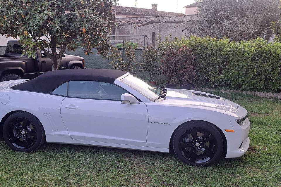 Camaro SS