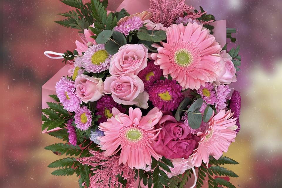 Rosa