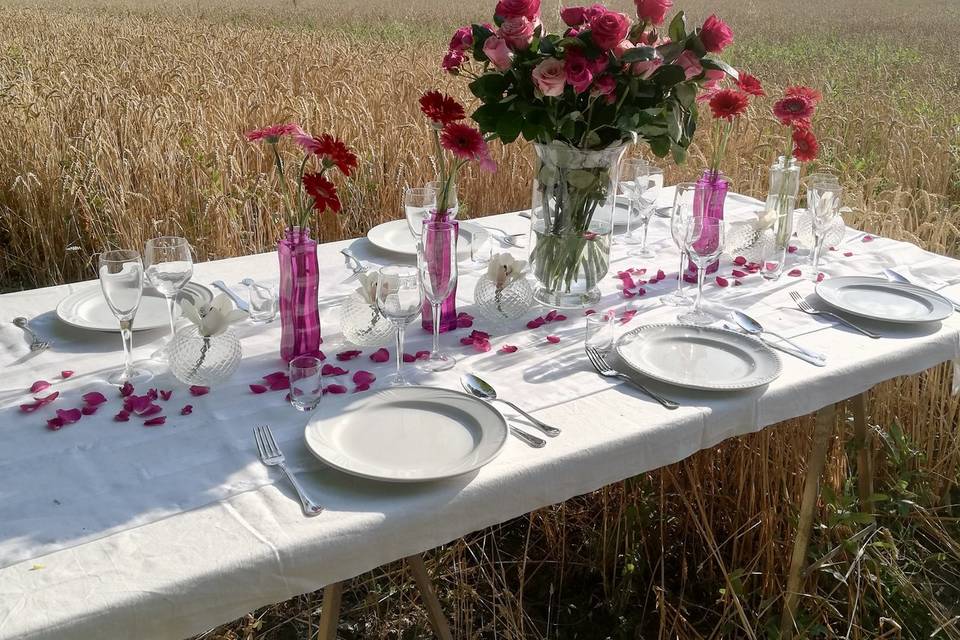 Mise en Place