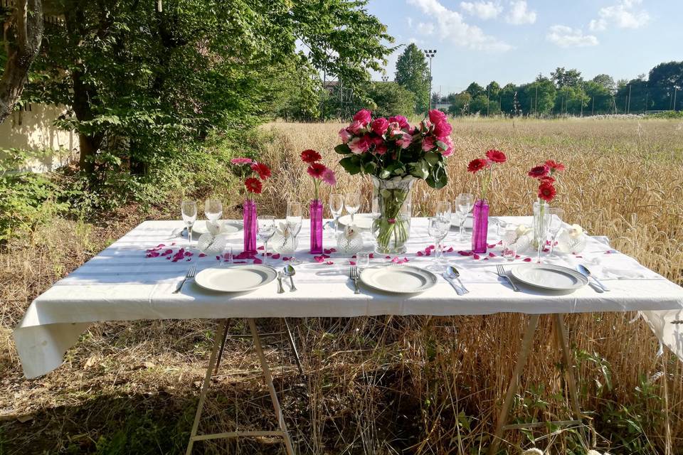 Mise en Place