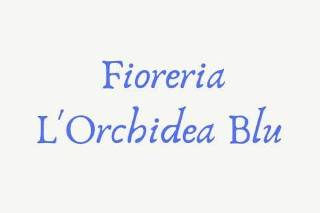 Fioreria L'Orchidea Blu