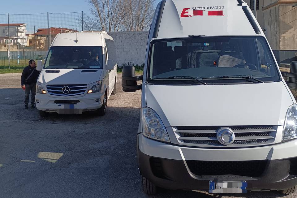 MInibus