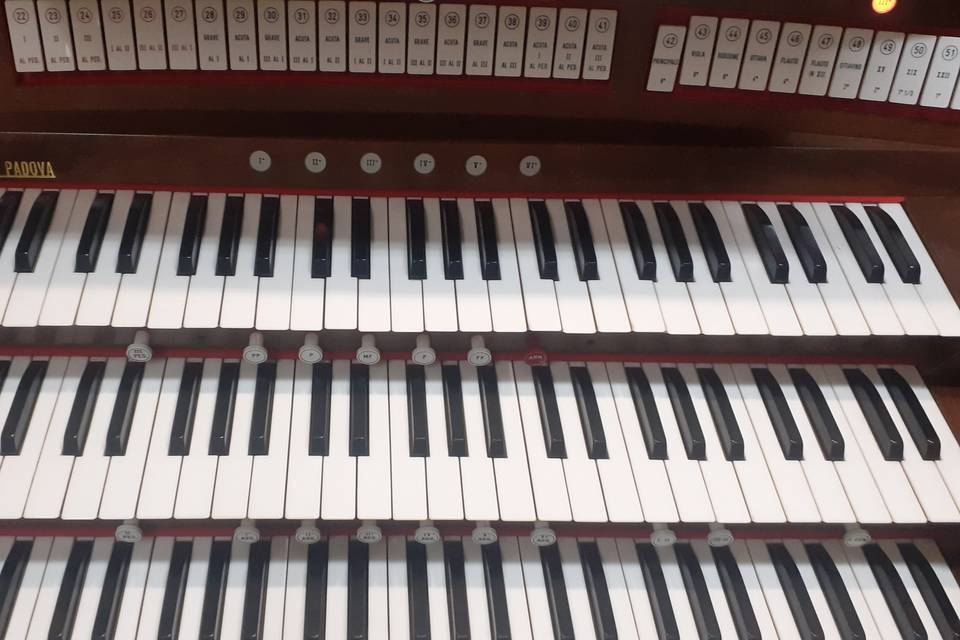 Organo Michelotto
