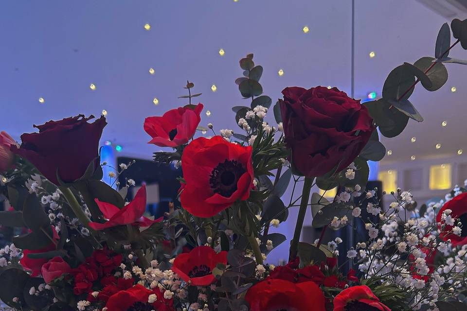 Graziella Event Planner