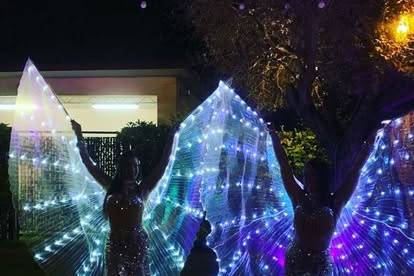 Farfalle luminose