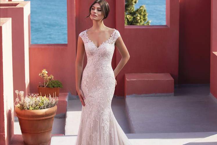 Whiteone- pronoviasgroup