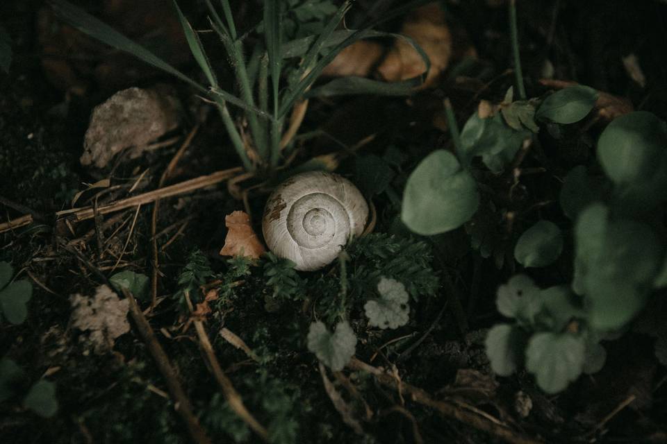 Viù Photography, Cuneo
