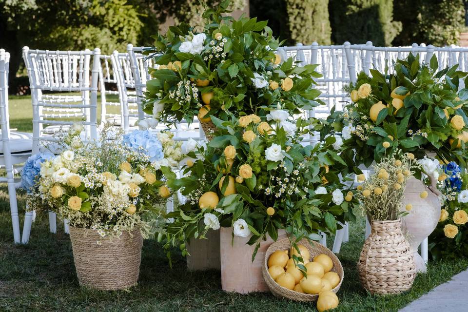 All chiesa Fabiana flowers