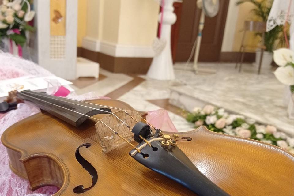 Violino - Matrimonio