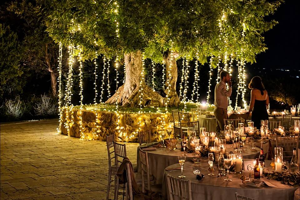 Alberi decorativi