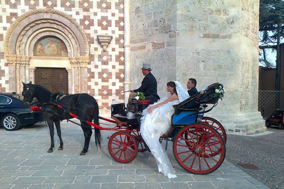 Carrozza in stile Botticella