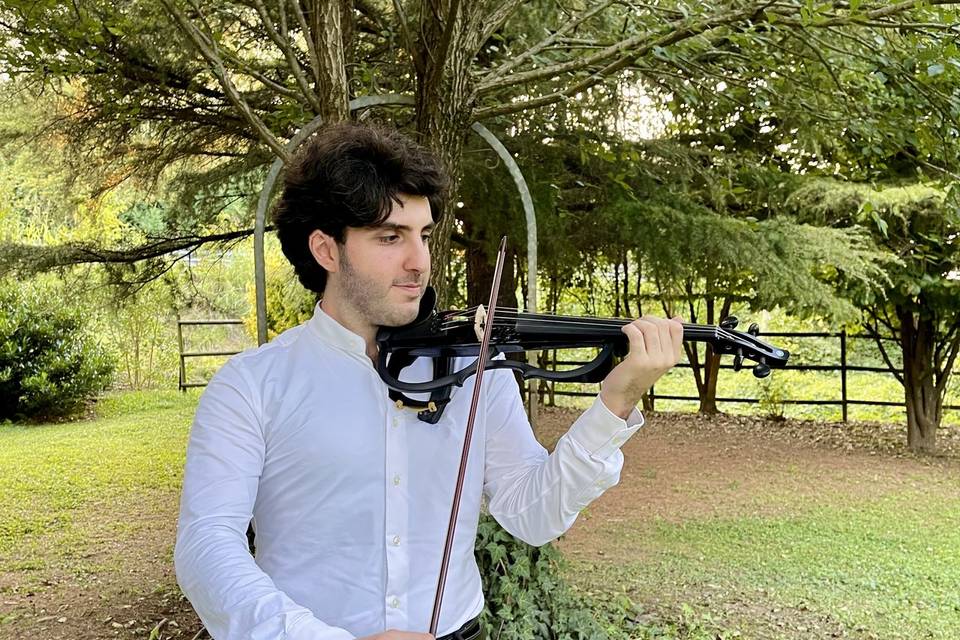 Violino