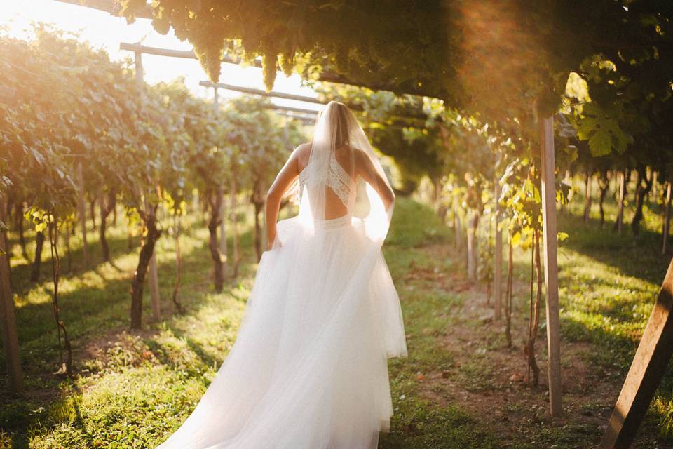 Vigne sposa