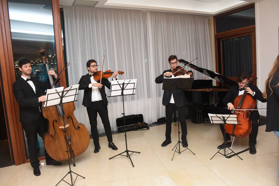 Quartetto d'Archi