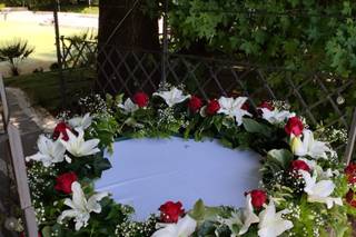 Il fiore di Stefano Schlegel