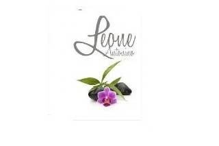 Antonino Leone fiori e piante logo