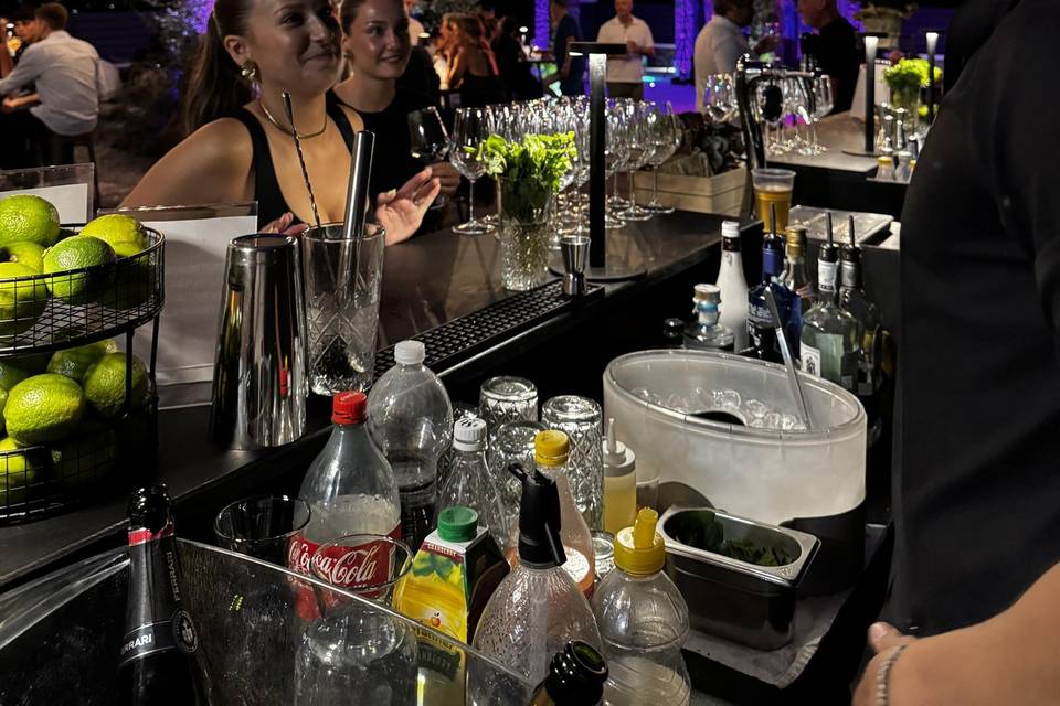 Maydrink Bartender Catering