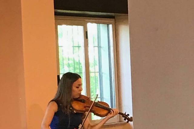 Violino