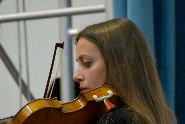 Violin's Melodies
