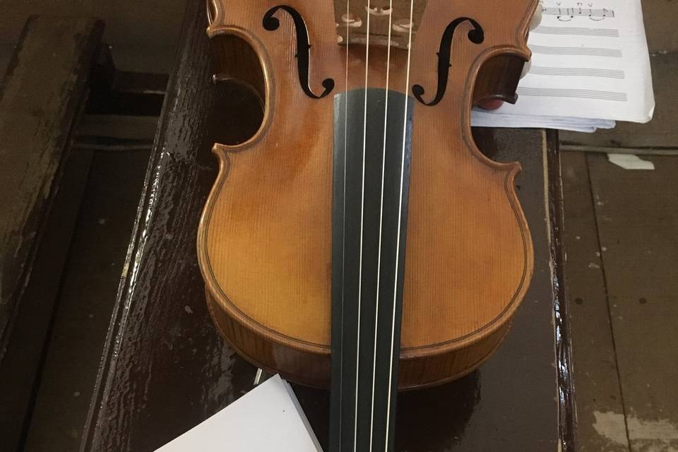 Violin's Melodies