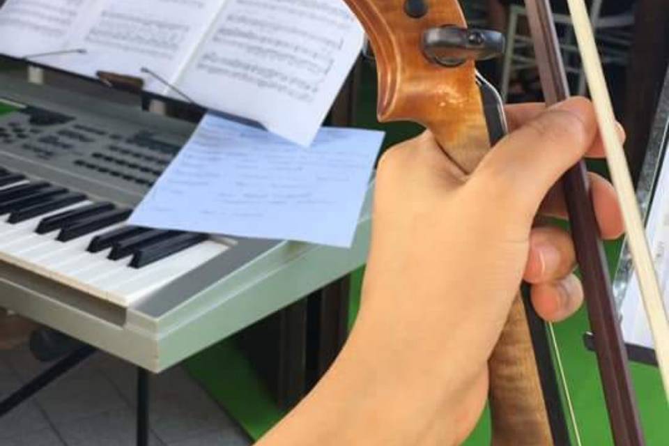 Violin's Melodies