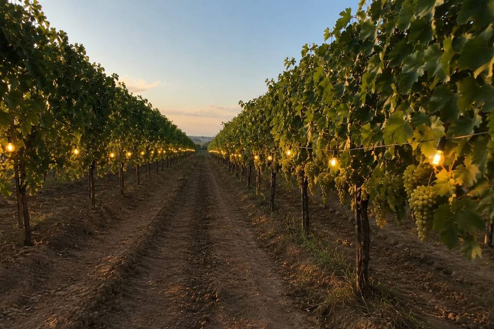 La mia location in vigna