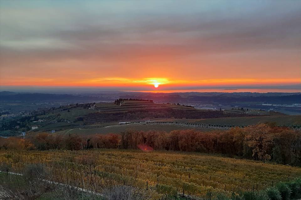 Il Biotto Agriturismo