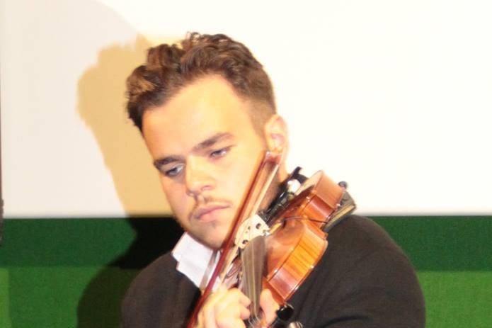 Violino