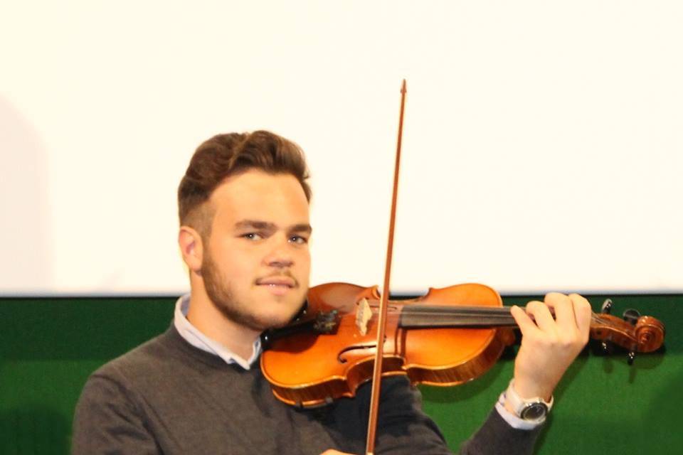 Violino